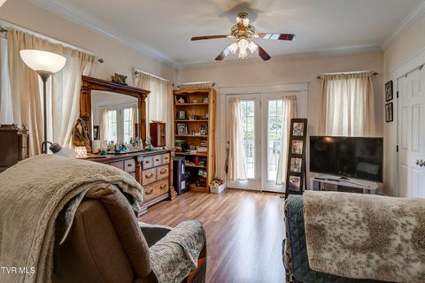 Tiny photo for 315 Love Street, Erwin, TN 37650 (MLS # 9986473)