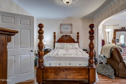 Tiny photo for 315 Love Street, Erwin, TN 37650 (MLS # 9986473)