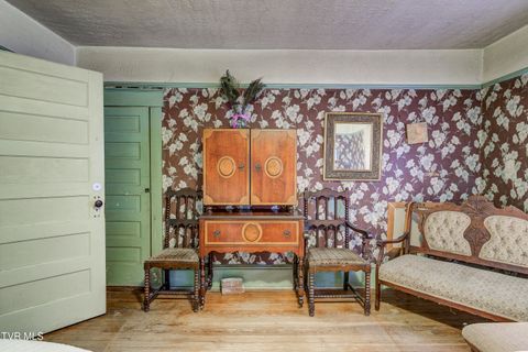 Tiny photo for 315 Love Street, Erwin, TN 37650 (MLS # 9986473)