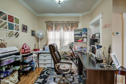 Tiny photo for 315 Love Street, Erwin, TN 37650 (MLS # 9986473)