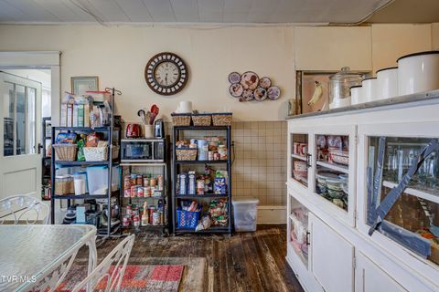 Tiny photo for 315 Love Street, Erwin, TN 37650 (MLS # 9986473)