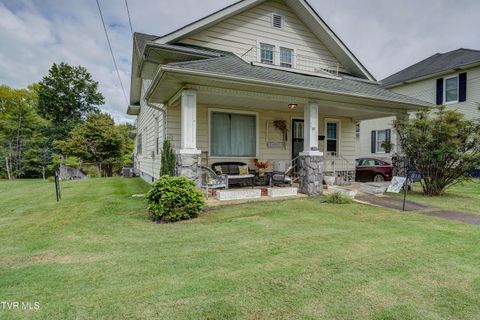 Tiny photo for 315 Love Street, Erwin, TN 37650 (MLS # 9986473)