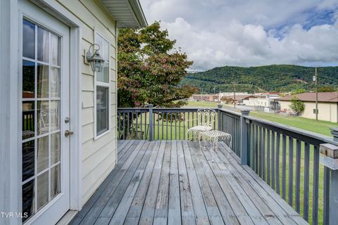 Tiny photo for 315 Love Street, Erwin, TN 37650 (MLS # 9986473)
