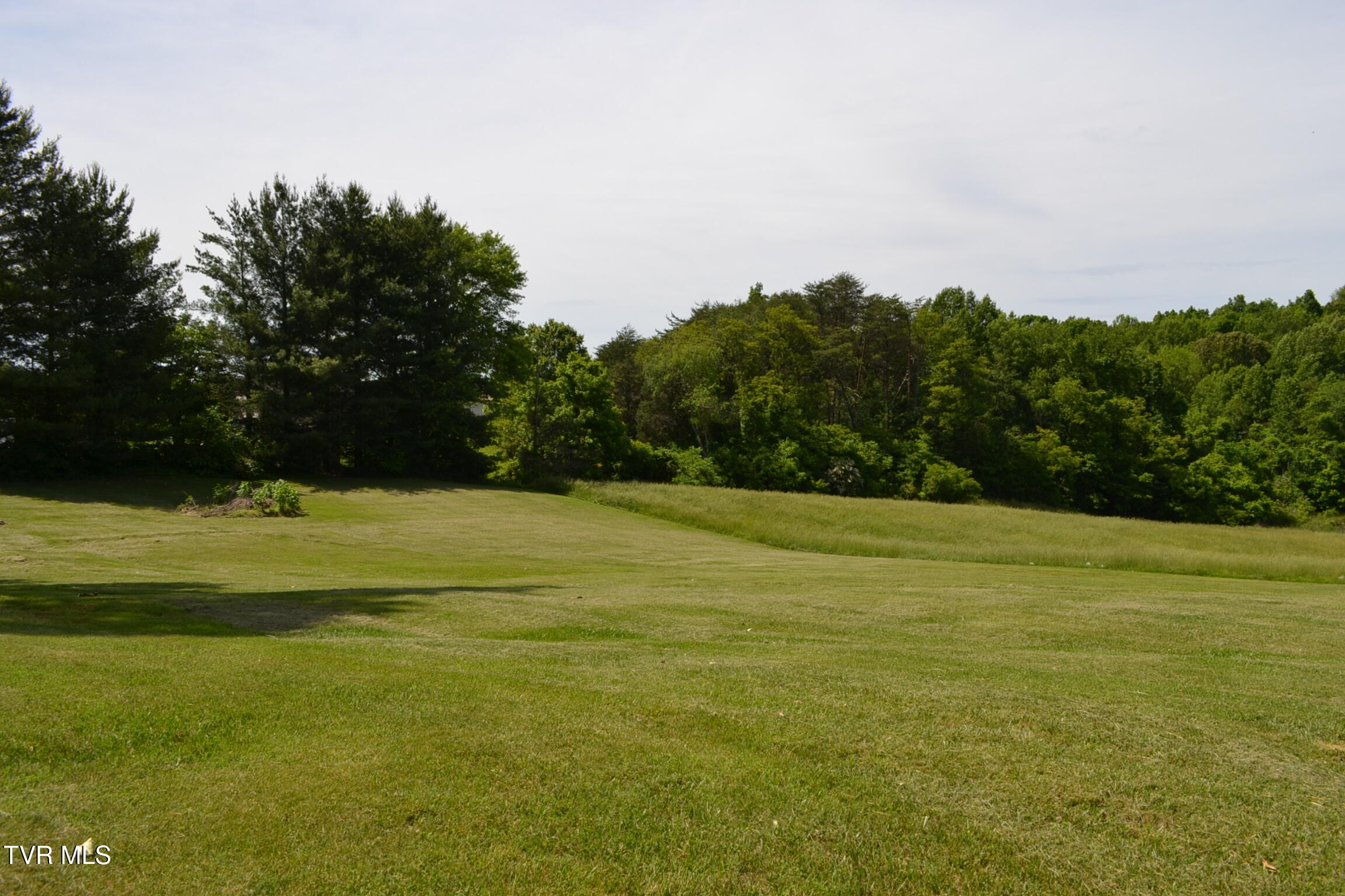 290 Kinchloe Mill Road, Jonesborough, Tennessee image 13