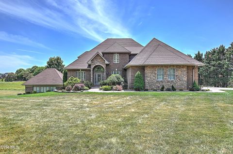 Photo of 3625 Holly Creek Road, Greeneville, TN 37745 (MLS # 9996237)