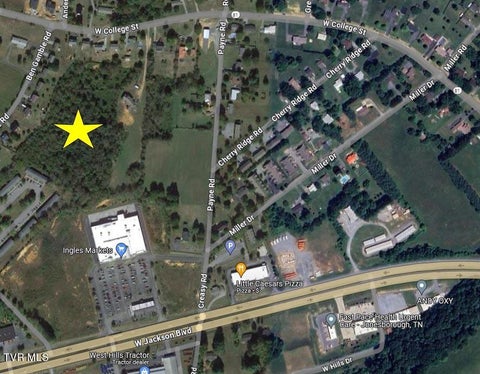 Vacant Land For Sale - TBD Ben Gamble Road<br/> Jonesborough, TN 37659