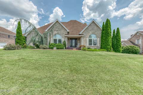 Homes For Sale - 1027 Whittling Wood Drive<br/> Johnson City, TN 37601