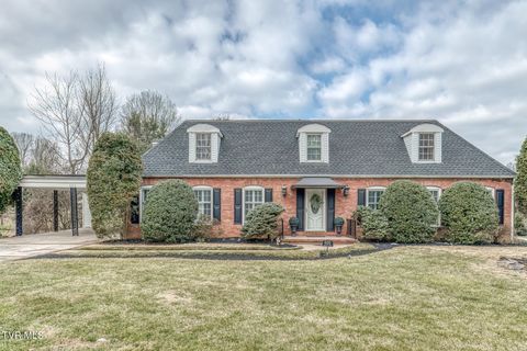 Photo of 605 Hillrise Boulevard, Johnson City, TN 37601 (MLS # 9990954)