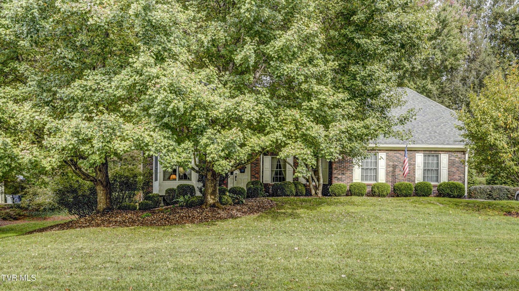 Photo of 333 Roscommon Drive, Bristol, TN 37620 (MLS # 10002002)