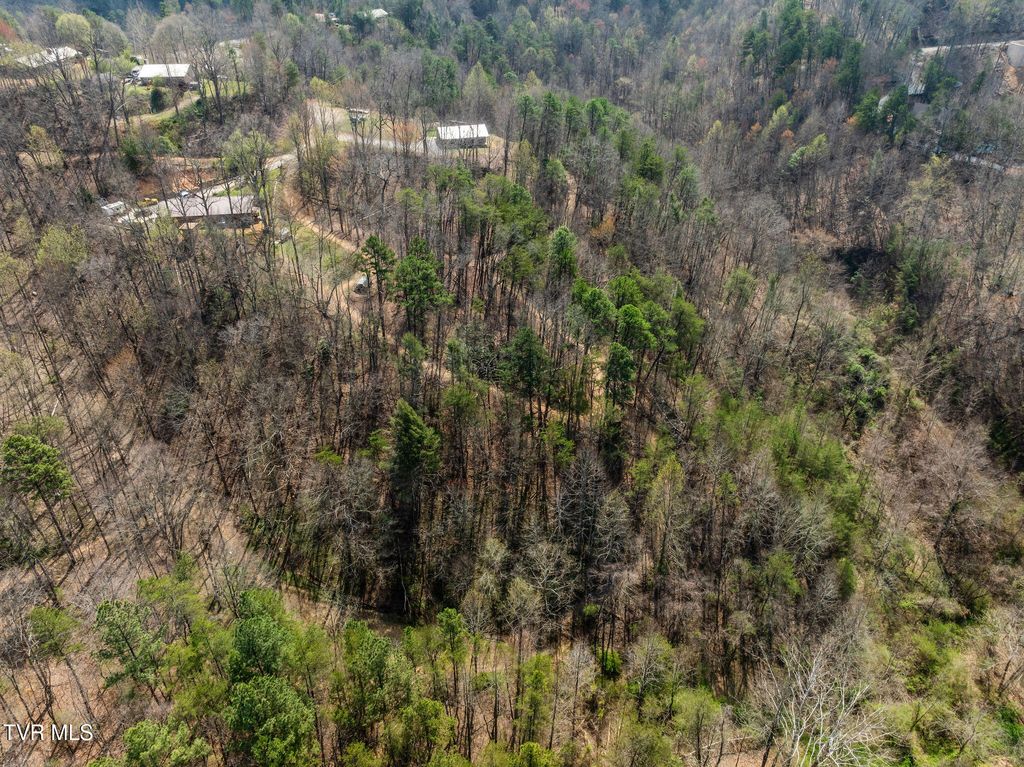 Photo of Tbd James Phillips Way, Sevierville, TN 37876 (MLS # 9992713)