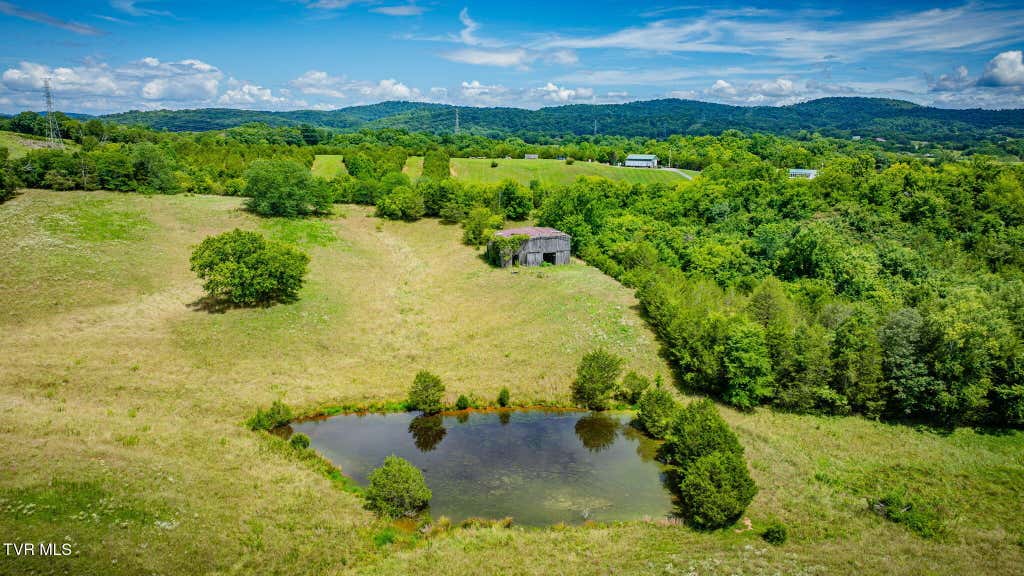 Photo of 2598 Wesley Chapel Road, Greeneville, TN 37745 (MLS # 9998386)