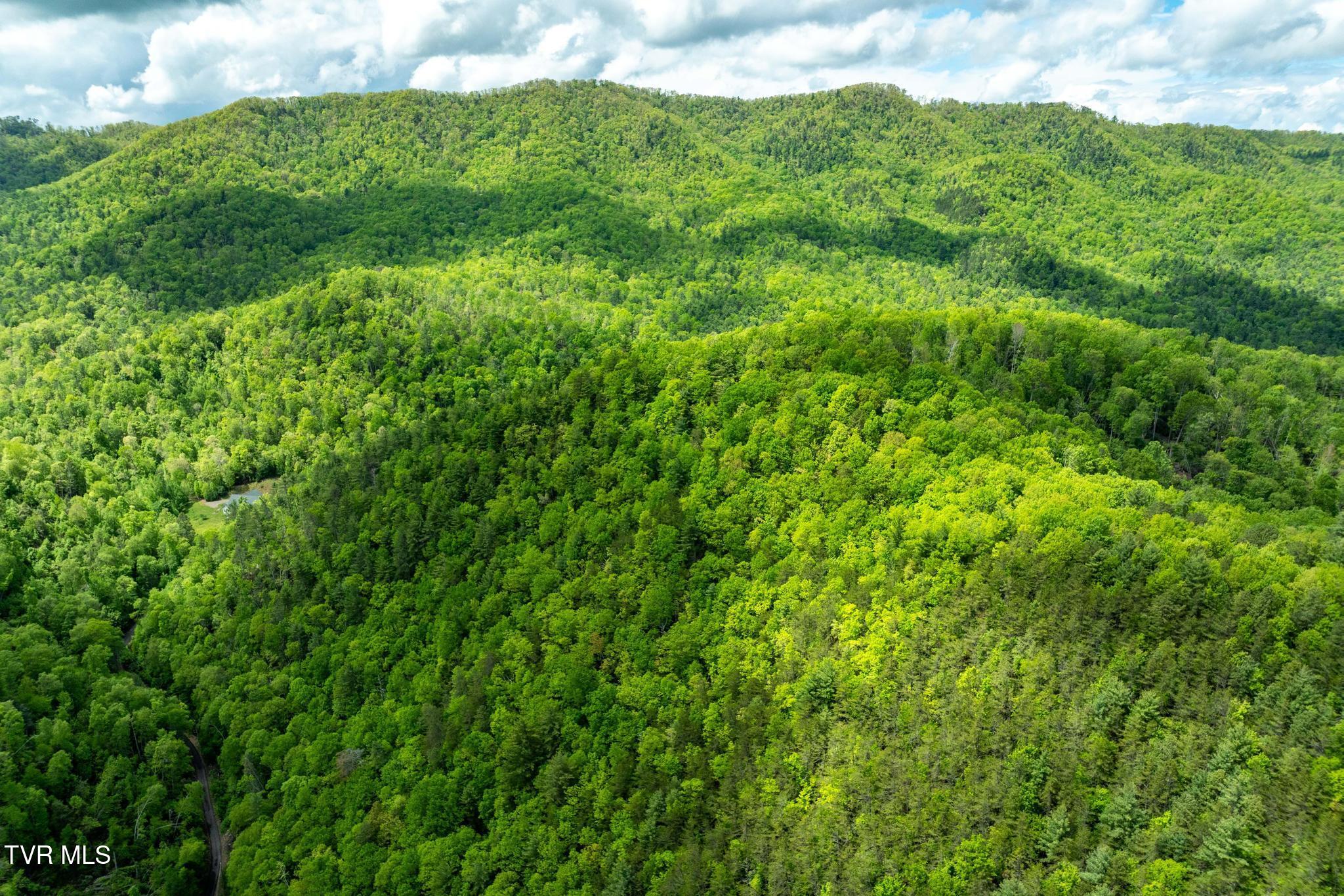 Tbd Fire Tower Road, Mountain City, Tennessee image 12