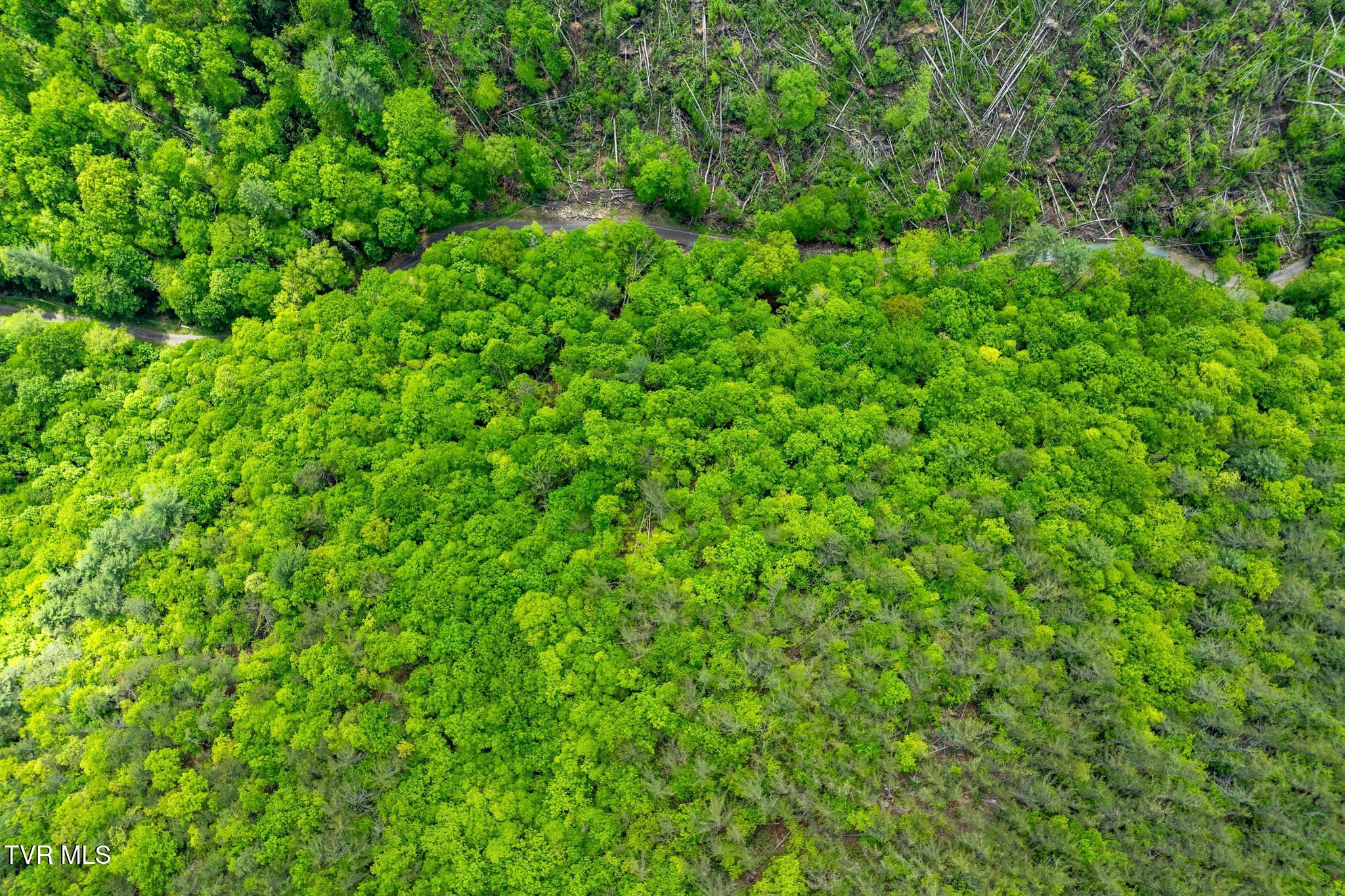 Tbd Fire Tower Road, Mountain City, Tennessee image 13