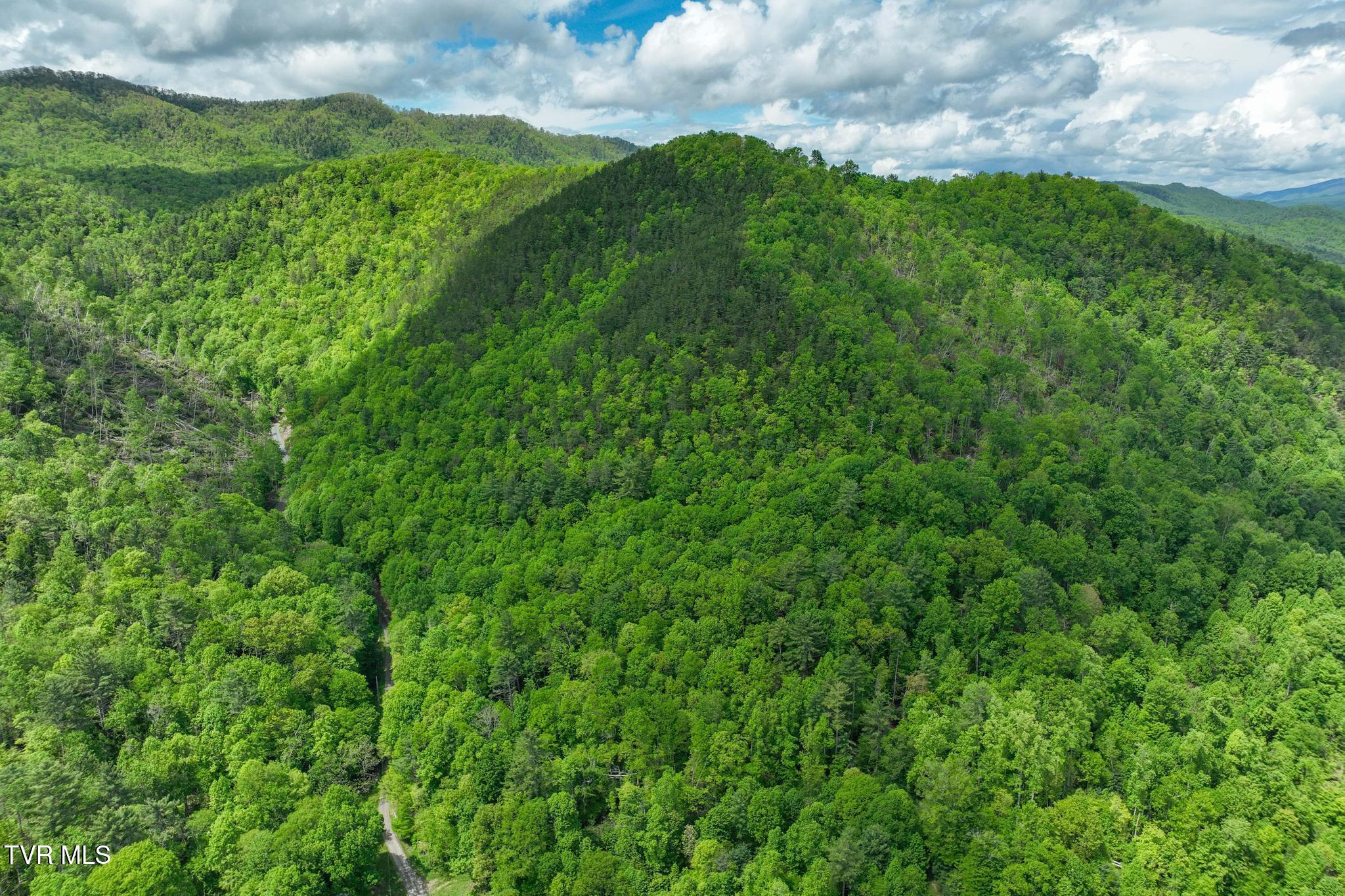 Tbd Fire Tower Road, Mountain City, Tennessee image 15