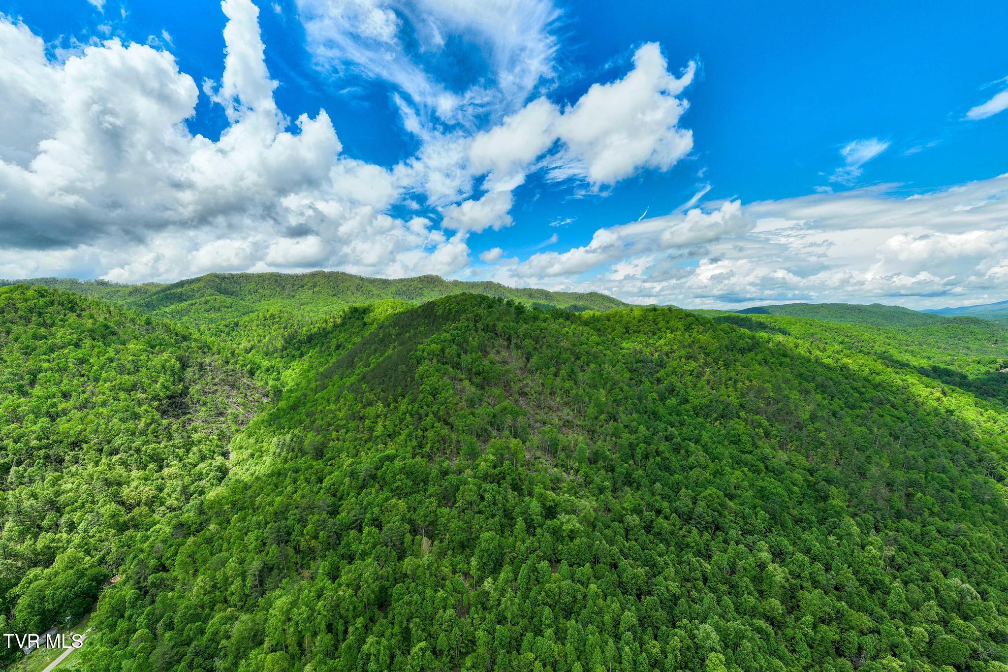 Tbd Fire Tower Road, Mountain City, Tennessee image 5