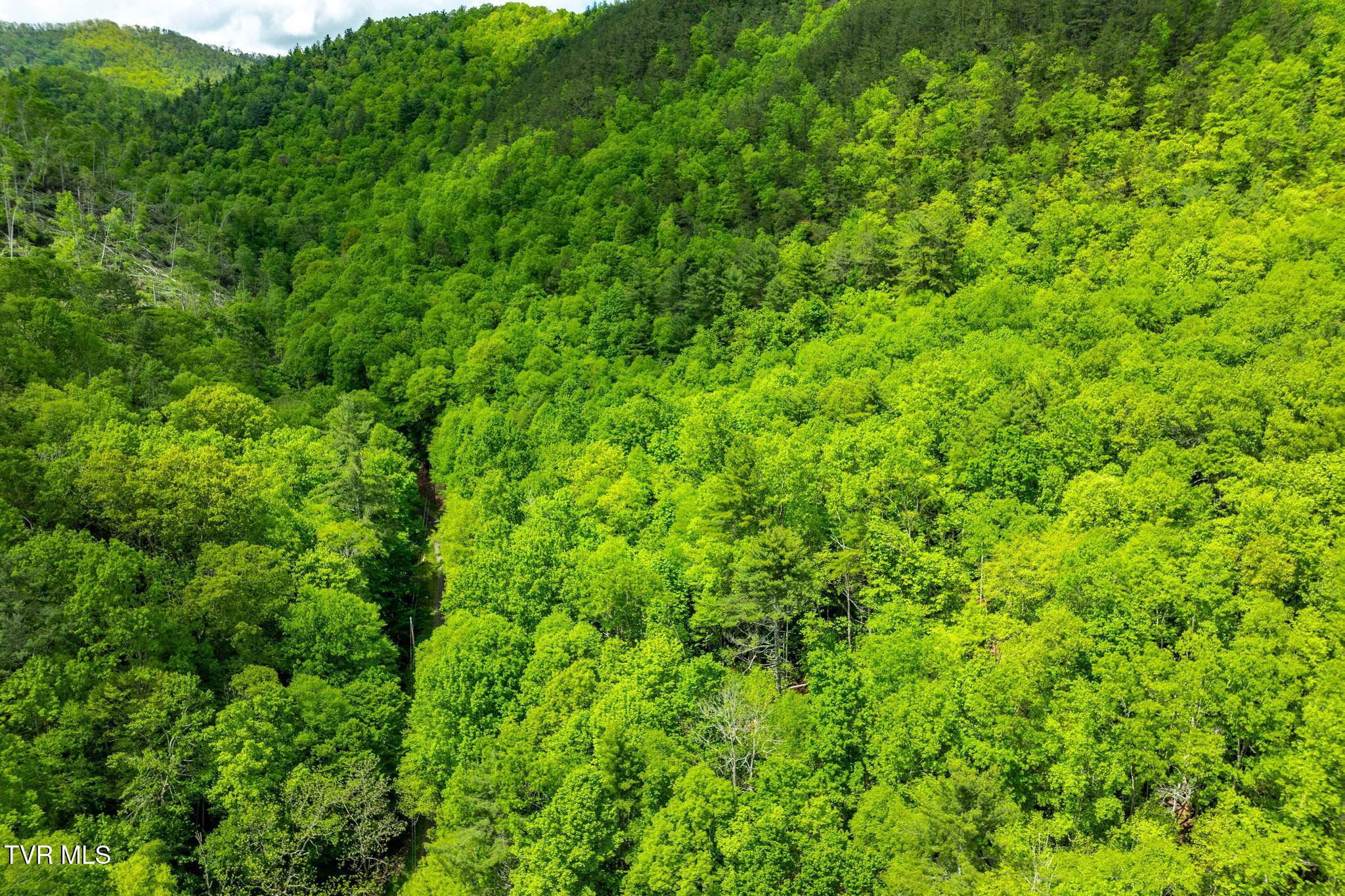 Tbd Fire Tower Road, Mountain City, Tennessee image 17