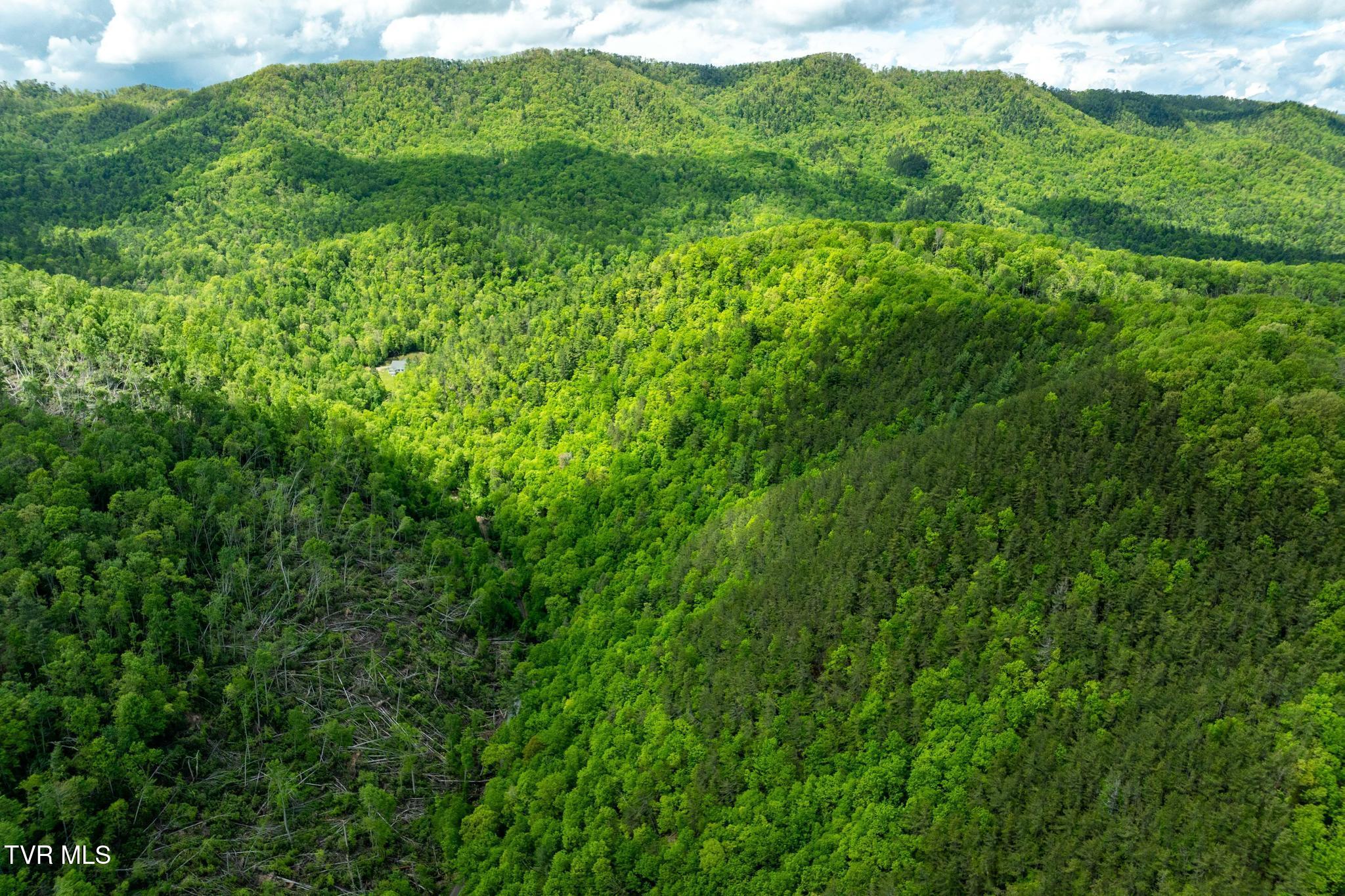 Tbd Fire Tower Road, Mountain City, Tennessee image 14