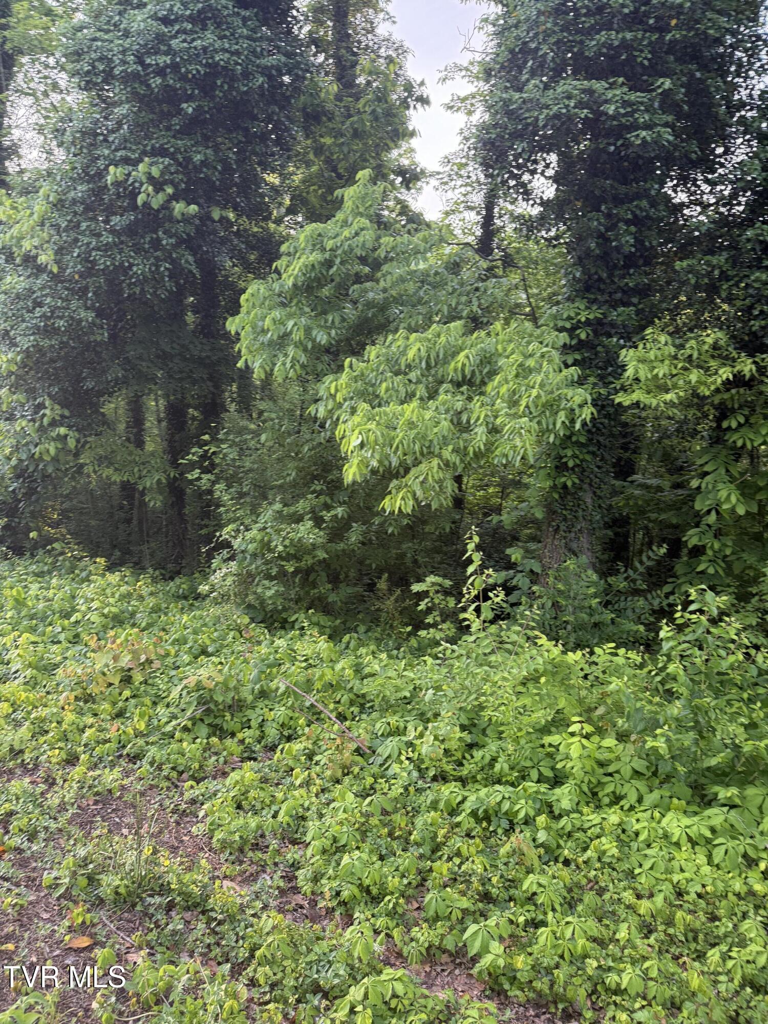 Lot 16 Ashley Street, Kingsport, Tennessee image 2