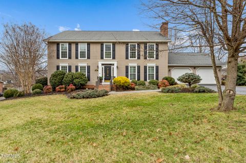 Photo of 2902 Greenline Road, Johnson City, TN 37604 (MLS # 9989087)