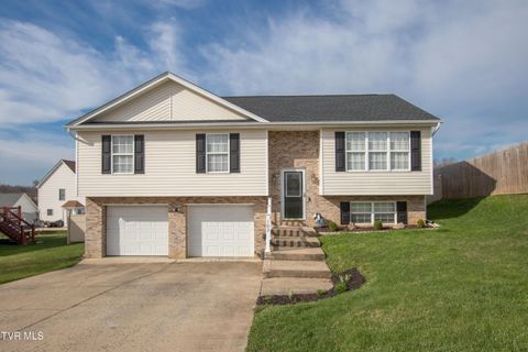 103 Lauren Drive Bristol VA 24202