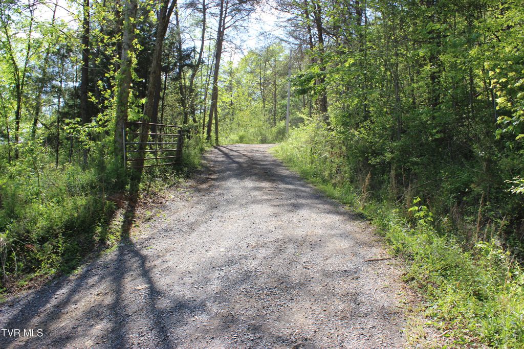 Photo of 2193 Burem Road, Rogersville, TN 37857 (MLS # 9994250)