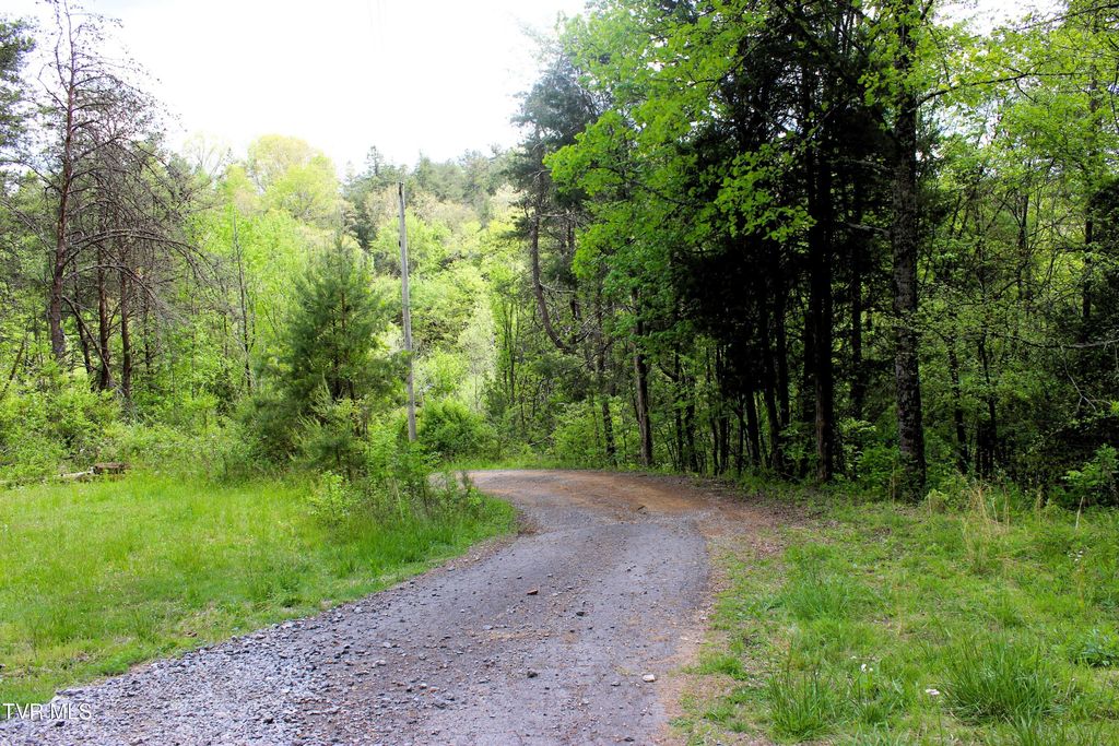 Photo of 2193 Burem Road, Rogersville, TN 37857 (MLS # 9994250)