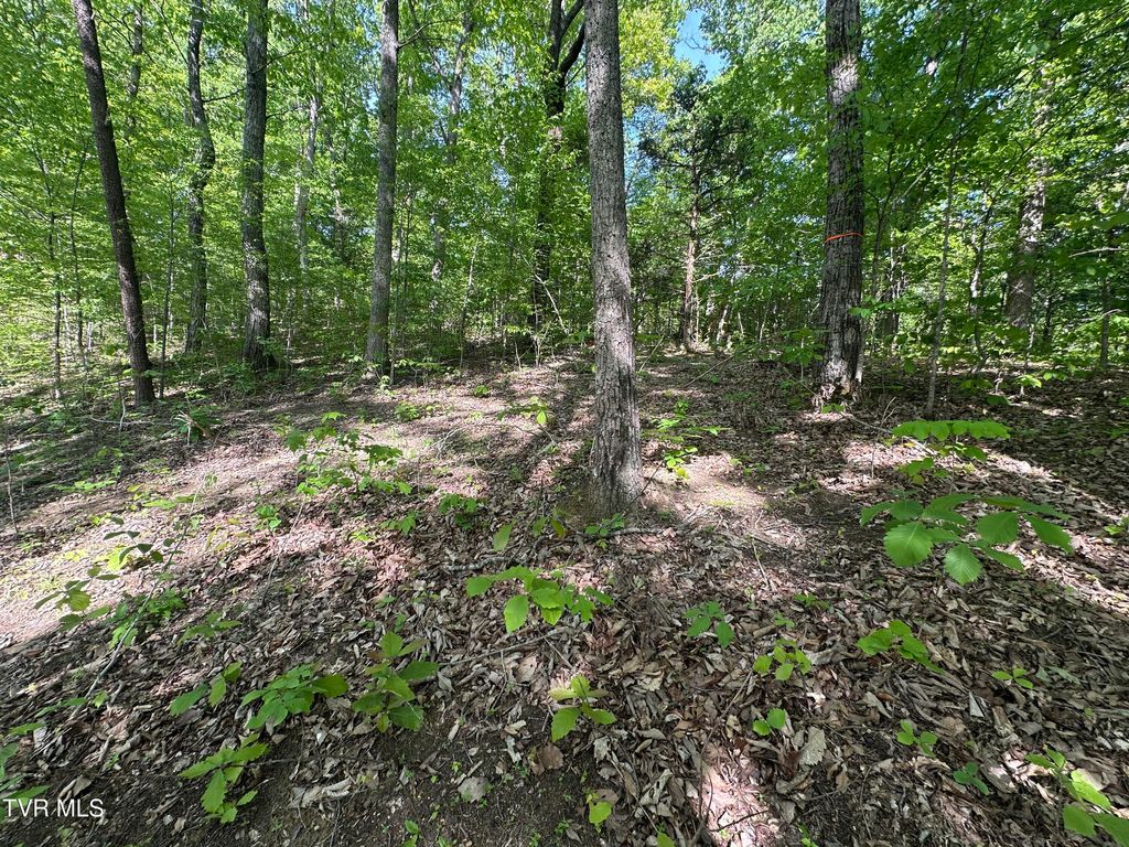 Photo of 00 Deerfoot Road, Cosby, TN 37722 (MLS # 9994257)
