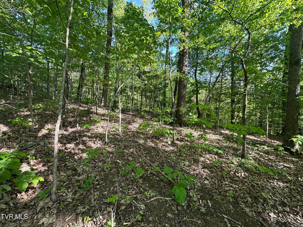Photo of 00 Deerfoot Road, Cosby, TN 37722 (MLS # 9994257)