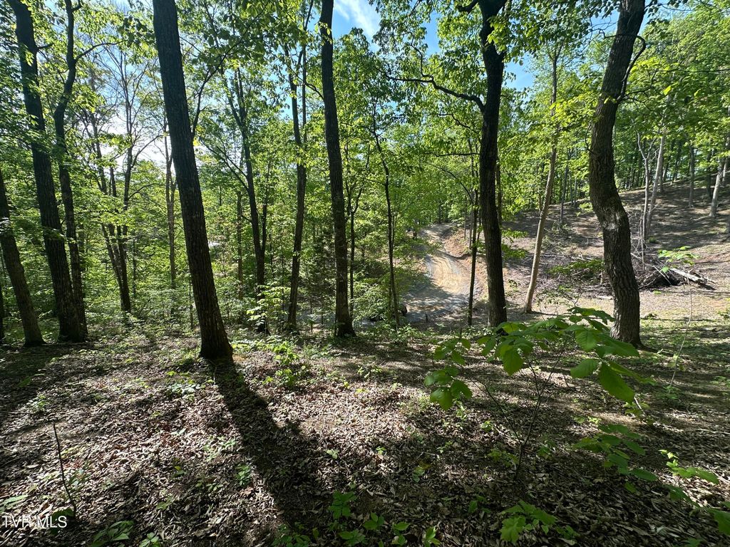 Photo of 00 Deerfoot Road, Cosby, TN 37722 (MLS # 9994257)
