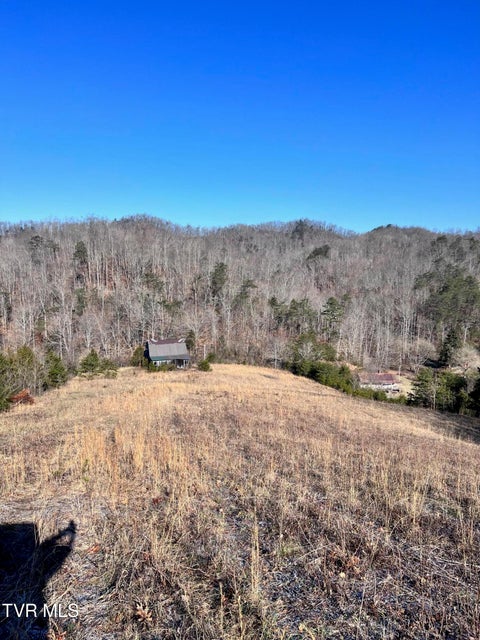 Vacant Land For Sale - 1581 Lower Caney Valley Road<br/> Tazewell, TN 37879