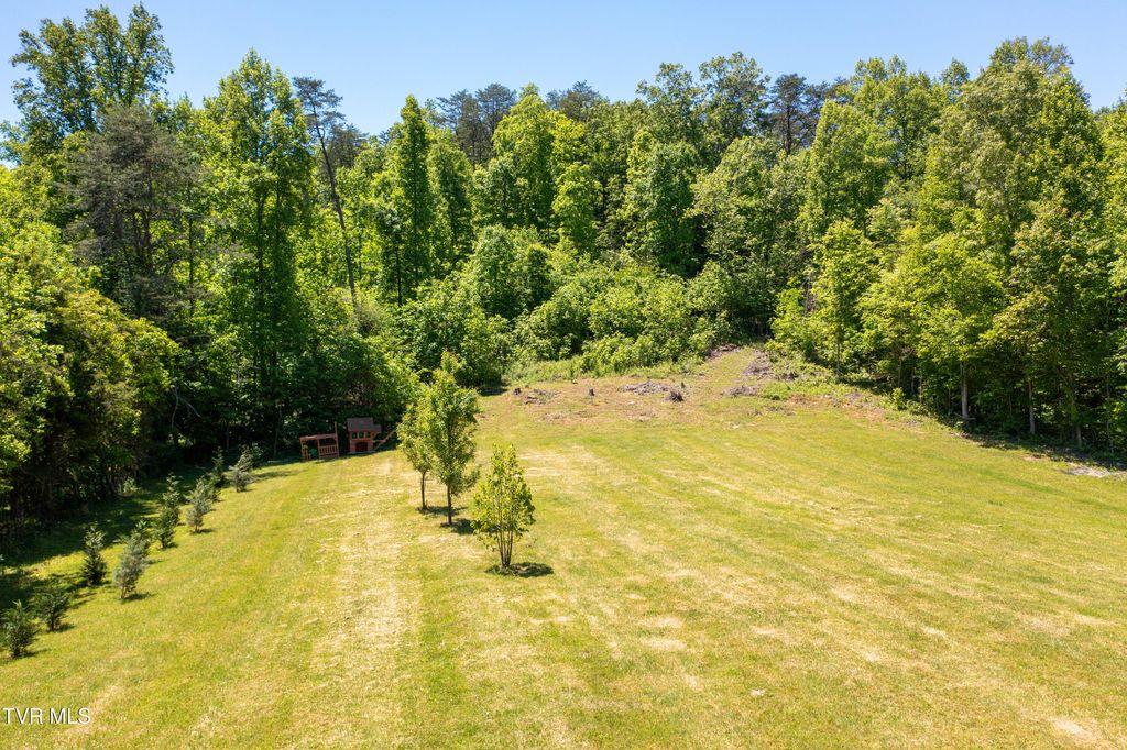 Photo of 882 Walnut Grove Road, Bluff City, TN 37618 (MLS # 9995335)