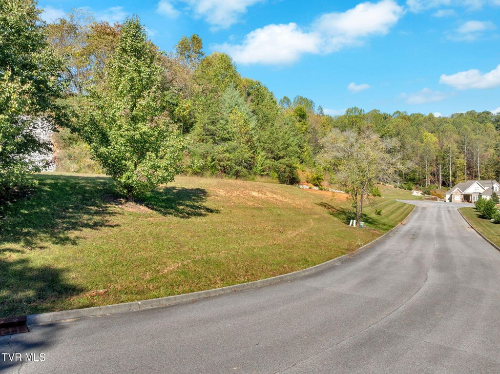 Photo of 4736 Sterling Lane, Kingsport, TN 37664 (MLS # 9987091)