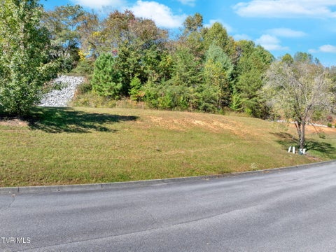 Vacant Land For Sale - 4736 Sterling Lane<br/> Sullivan County, Kingsport, TN 37664
