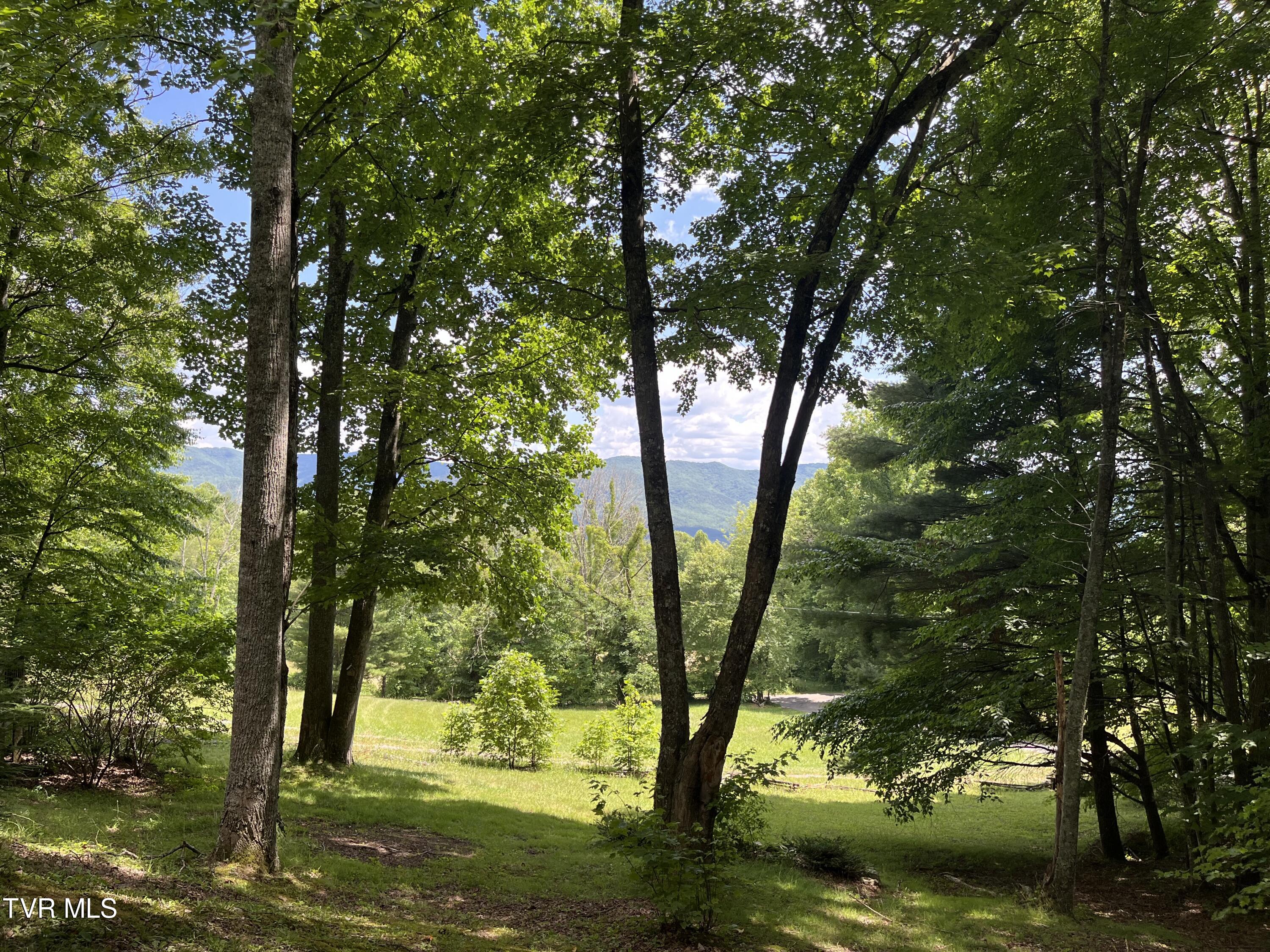 128 Overlook Lane, Mountain City, Tennessee image 8