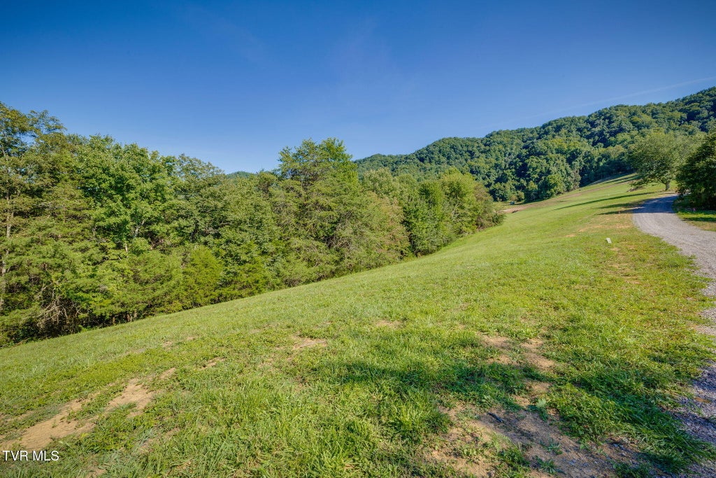 Photo of 5 Blackberry Hills Trail LN, Thorn Hill, TN 37881 (MLS # 10000319)