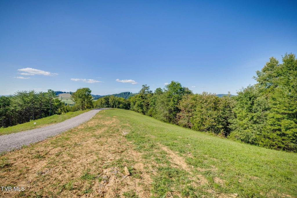 Photo of 5 Blackberry Hills Trail LN, Thorn Hill, TN 37881 (MLS # 10000319)