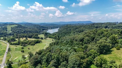 Tiny photo for 208 Park Ridge Court, Kingsport, TN 37664 (MLS # 9984509)