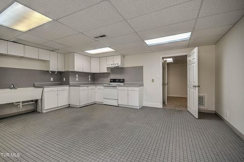 Tiny photo for 208 Park Ridge Court, Kingsport, TN 37664 (MLS # 9984509)