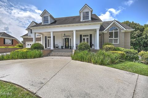 Tiny photo for 208 Park Ridge Court, Kingsport, TN 37664 (MLS # 9984509)