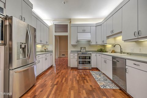 Tiny photo for 208 Park Ridge Court, Kingsport, TN 37664 (MLS # 9984509)