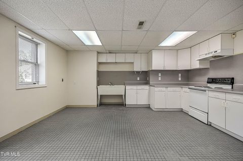 Tiny photo for 208 Park Ridge Court, Kingsport, TN 37664 (MLS # 9984509)