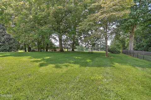 Tiny photo for 208 Park Ridge Court, Kingsport, TN 37664 (MLS # 9984509)
