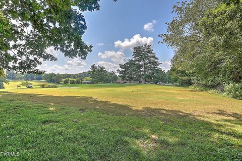 Tiny photo for 208 Park Ridge Court, Kingsport, TN 37664 (MLS # 9984509)