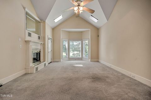 Tiny photo for 208 Park Ridge Court, Kingsport, TN 37664 (MLS # 9984509)
