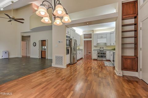 Tiny photo for 208 Park Ridge Court, Kingsport, TN 37664 (MLS # 9984509)