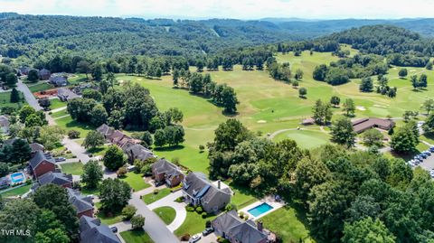 Tiny photo for 208 Park Ridge Court, Kingsport, TN 37664 (MLS # 9984509)