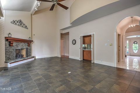 Tiny photo for 208 Park Ridge Court, Kingsport, TN 37664 (MLS # 9984509)