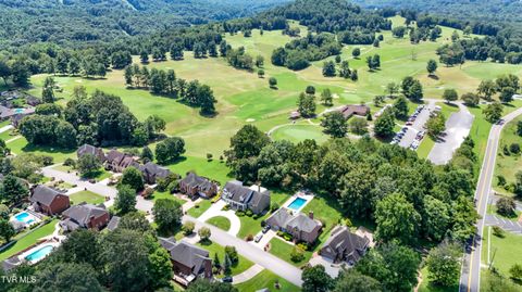 Tiny photo for 208 Park Ridge Court, Kingsport, TN 37664 (MLS # 9984509)