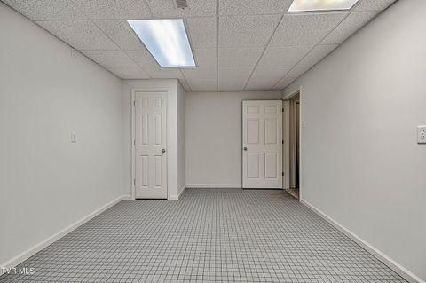 Tiny photo for 208 Park Ridge Court, Kingsport, TN 37664 (MLS # 9984509)
