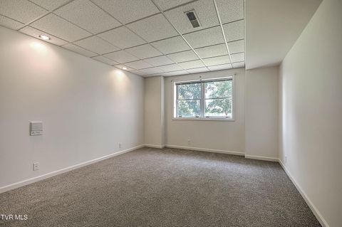 Tiny photo for 208 Park Ridge Court, Kingsport, TN 37664 (MLS # 9984509)